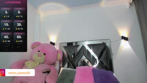 Snapshot of emma_jamess chatting on January 9, 2025, 4:19 am emma_jamess online show from January 9, 2025, 4:19 am