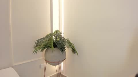 Snapshot of emmiily_z chatting on January 19, 2025, 2:04 am Emmiily online show from January 19, 2025, 2:04 am