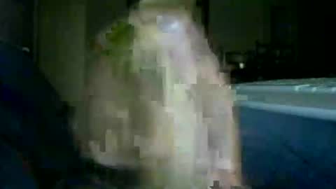 encormoi online show from November 14, 2025, 8:46 am