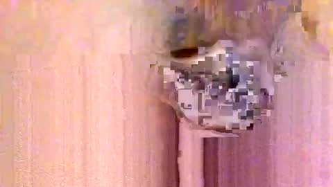 take it easy online show from January 13, 2026, 12:54 pm