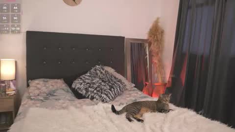 evajacksss_ online show from February 12, 2026, 9:21 pm