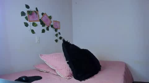 Snapshot of evelinmiller9 chatting on November 11, 2025, 9:48 pm Evelin Miller online show from November 11, 2025, 9:48 pm