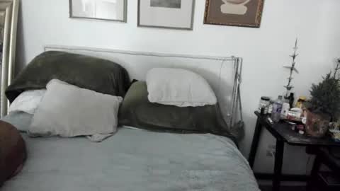 Snapshot of evparrish chatting on January 19, 2025, 1:21 am EV Parrish online show from January 19, 2025, 1:21 am