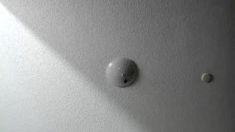 Snapshot of evparrish chatting on January 20, 2025, 6:42 am EV Parrish online show from January 20, 2025, 6:42 am