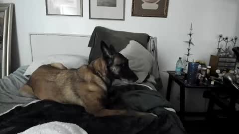 Snapshot of evparrish chatting on February 2, 2025, 4:48 am EV Parrish online show from February 2, 2025, 4:48 am