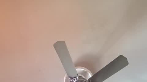 Snapshot of exoticlexi chatting on April 6, 2026, 1:01 pm Exoticlexxii online show from April 6, 2026, 1:01 pm