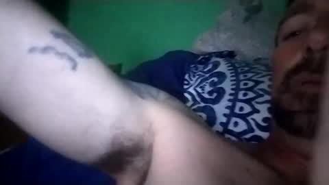 experttreecompany online show from February 15, 2026, 7:51 am