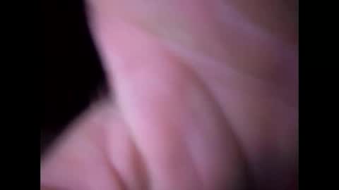 experttreecompany online show from March 16, 2026, 11:47 am