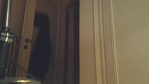 Snapshot of ezcoda chatting on January 2, 2025, 1:38 am EZCODA online show from January 2, 2025, 1:38 am