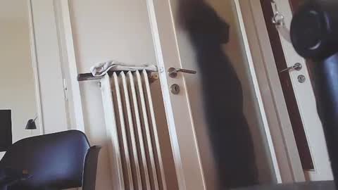 Snapshot of ezcoda chatting on January 7, 2025, 10:11 am EZCODA online show from January 7, 2025, 10:11 am