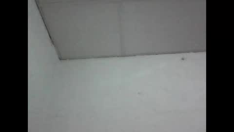 Snapshot of fabiar11 chatting on May 1, 2026, 4:39 am R online show from May 1, 2026, 4:39 am