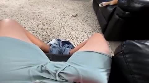 faker1414 online show from January 13, 2026, 5:18 pm