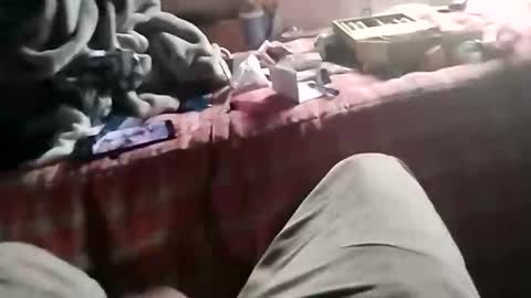 fallguyb1875150 online show from October 19, 2025, 11:33 am