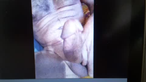 Snapshot of falushp chatting on January 23, 2025, 9:50 am falushp online show from January 23, 2025, 9:50 am