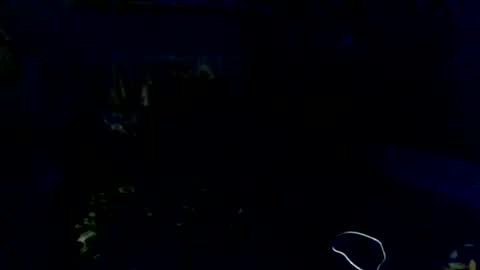 Fancie8 online show from July 2, 2026, 9:54 pm