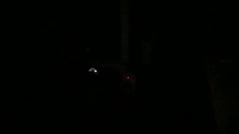 fantasticdeee online show from January 6, 2025, 3:20 am