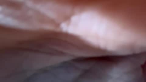 AMANDA  online show from May 15, 2026, 7:21 pm