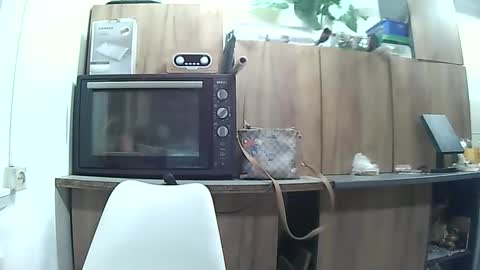 Snapshot of farmerscupal chatting on May 6, 2026, 7:41 pm hausewife online show from May 6, 2026, 7:41 pm