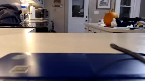 Snapshot of farmgirl__ chatting on October 11, 2025, 2:22 am FarmGirl and Daddy online show from October 11, 2025, 2:22 am