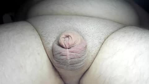 Snapshot of fatmanscock chatting on December 8, 2024, 1:02 am Fatmanscock online show from December 8, 2024, 1:02 am