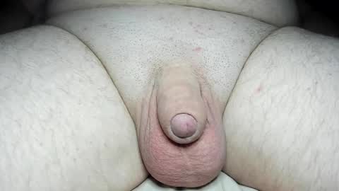 Snapshot of fatmanscock chatting on January 26, 2025, 4:51 am Fatmanscock online show from January 26, 2025, 4:51 am