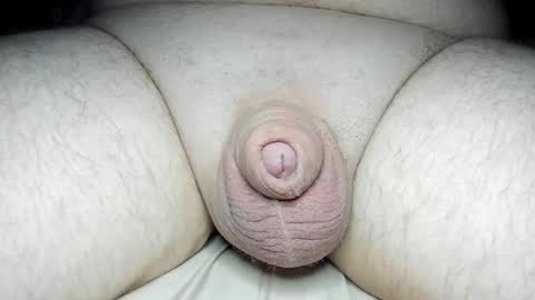 Snapshot of fatmanscock chatting on February 13, 2025, 2:34 am Fatmanscock online show from February 13, 2025, 2:34 am