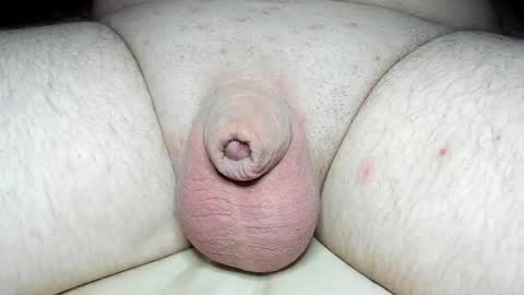 Snapshot of fatmanscock chatting on March 9, 2025, 5:11 am Fatmanscock online show from March 9, 2025, 5:11 am