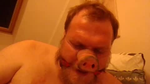 Snapshot of fckcbacc89 chatting on June 20, 2026, 1:30 am Horny Fat Boy online show from June 20, 2026, 1:30 am