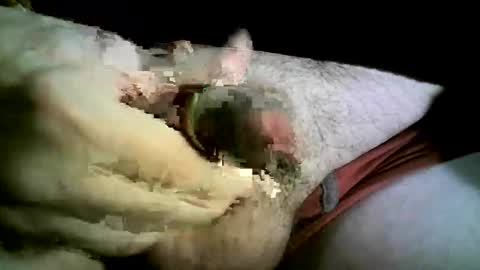 Snapshot of felicaste chatting on November 26, 2025, 8:43 pm felicaste online show from November 26, 2025, 8:43 pm