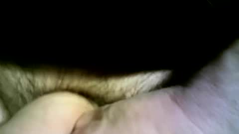 felicaste online show from April 13, 2026, 4:34 pm