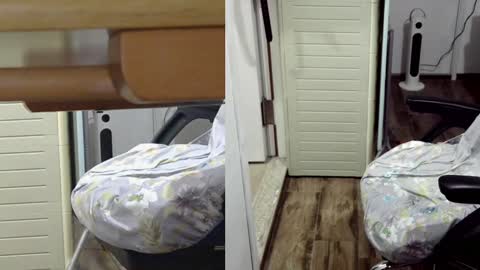 felixlau online show from January 26, 2025, 12:11 pm