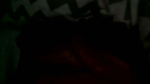 Snapshot of felixske chatting on January 11, 2025, 9:47 am felixske online show from January 11, 2025, 9:47 am