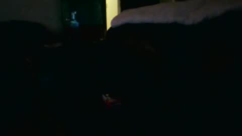 Snapshot of fellatio13 chatting on March 21, 2026, 9:25 am fellatio13 online show from March 21, 2026, 9:25 am