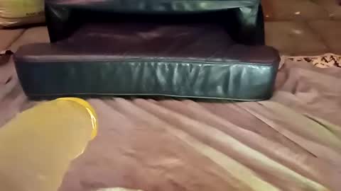 Snapshot of femboy710cum chatting on December 21, 2024, 11:24 pm femboy710cum online show from December 21, 2024, 11:24 pm