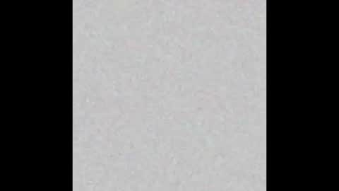 femboyfangs online show from December 1, 2025, 4:50 am