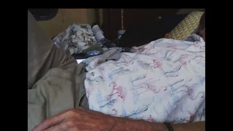 ferra_testarossa online show from September 17, 2025, 2:13 am