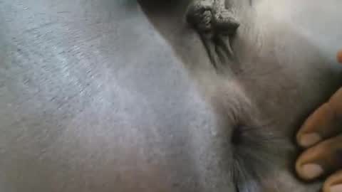 Snapshot of ferriena chatting on September 27, 2025, 4:06 am Ferie online show from September 27, 2025, 4:06 am