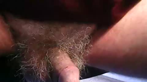 Snapshot of fh1963 chatting on February 20, 2026, 12:16 pm fh1963 online show from February 20, 2026, 12:16 pm