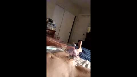 figaro62026 online show from April 27, 2026, 10:35 am