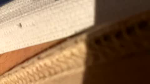 Fiksok online show from April 14, 2026, 1:00 am