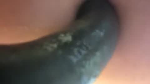 Fill My Little Hole online show from July 2, 2026, 7:09 pm