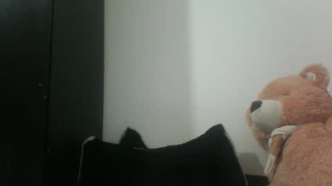 Snapshot of finnky1 chatting on December 20, 2024, 1:43 pm finnky1 online show from December 20, 2024, 1:43 pm