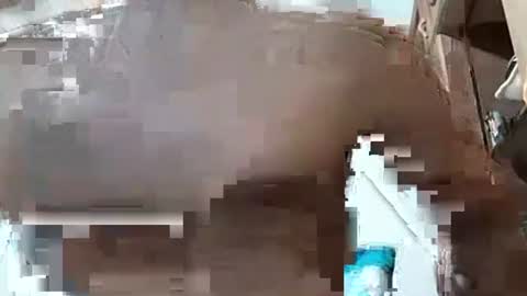 fitchestabs_69 online show from December 7, 2024, 3:25 am