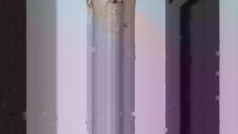 fitchestabs_69 online show from April 14, 2026, 9:43 pm