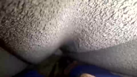 flaash_99 online show from March 2, 2026, 11:28 am