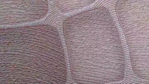 Snapshot of flicker77 chatting on November 13, 2025, 11:09 am flicker77 online show from November 13, 2025, 11:09 am