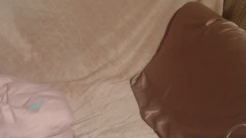 say meow and send tip  online show from December 22, 2025, 5:54 pm