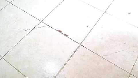 Snapshot of flyckers chatting on October 6, 2025, 8:06 pm flyckers online show from October 6, 2025, 8:06 pm