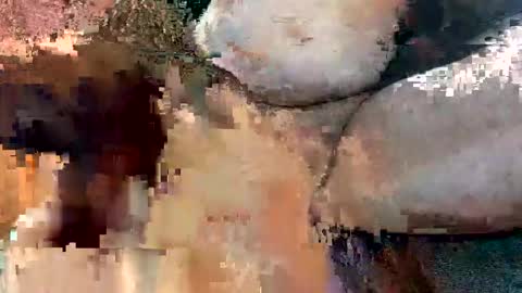 Snapshot of foxhole23 chatting on September 13, 2025, 10:59 am foxhole23 online show from September 13, 2025, 10:59 am