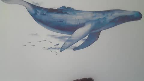 foyett online show from March 16, 2026, 8:35 pm